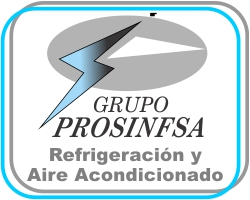 PAGINA_WEB_PROSINFSA.png